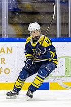 Klik for at se eller bestil foto