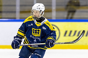 Klik for at se eller bestil foto