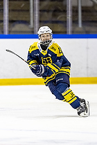 Klik for at se eller bestil foto