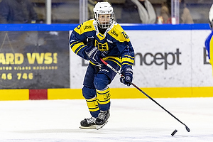 Klik for at se eller bestil foto