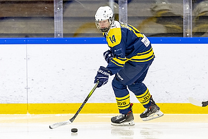 Klik for at se eller bestil foto