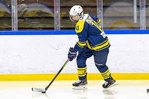 Klik for at se eller bestil foto