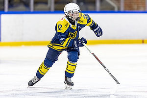 Klik for at se eller bestil foto