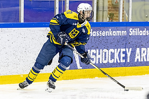 Klik for at se eller bestil foto