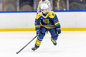 Klik for at se eller bestil foto