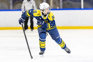 Klik for at se eller bestil foto