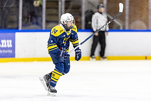 Klik for at se eller bestil foto