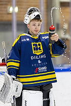 Klik for at se eller bestil foto