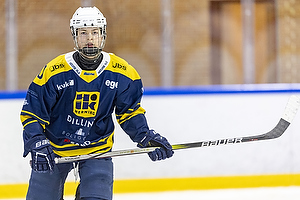 Klik for at se eller bestil foto