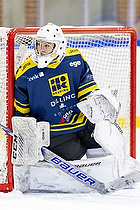 Klik for at se eller bestil foto