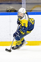 Klik for at se eller bestil foto