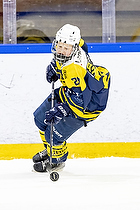 Klik for at se eller bestil foto