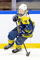 Klik for at se eller bestil foto