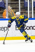 Klik for at se eller bestil foto