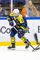 Klik for at se eller bestil foto