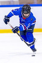 Klik for at se eller bestil foto