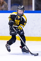 Klik for at se eller bestil foto