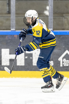 Klik for at se eller bestil foto