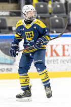 Klik for at se eller bestil foto