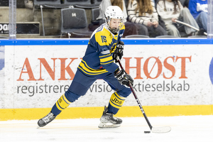 Klik for at se eller bestil foto