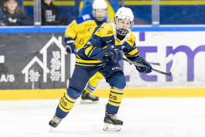 Klik for at se eller bestil foto