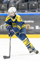 Klik for at se eller bestil foto