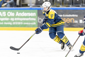 Klik for at se eller bestil foto