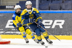 Klik for at se eller bestil foto