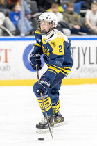 Klik for at se eller bestil foto