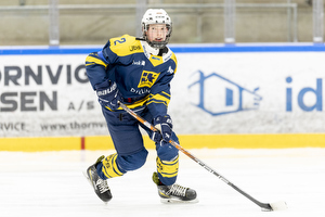 Klik for at se eller bestil foto