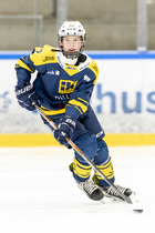 Klik for at se eller bestil foto