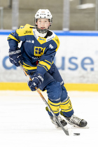 Klik for at se eller bestil foto