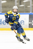 Klik for at se eller bestil foto