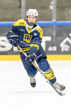 Klik for at se eller bestil foto