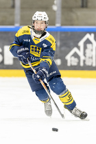 Klik for at se eller bestil foto