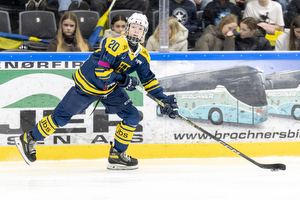 Klik for at se eller bestil foto