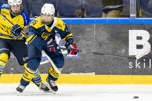 Klik for at se eller bestil foto