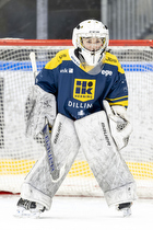 Klik for at se eller bestil foto