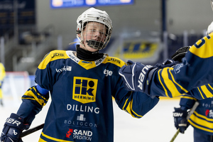 Klik for at se eller bestil foto