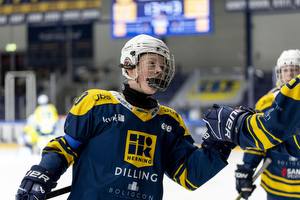 Klik for at se eller bestil foto