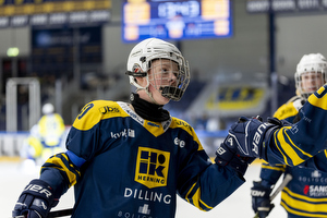 Klik for at se eller bestil foto