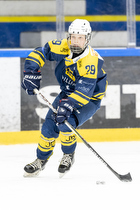 Klik for at se eller bestil foto