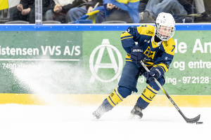 Klik for at se eller bestil foto