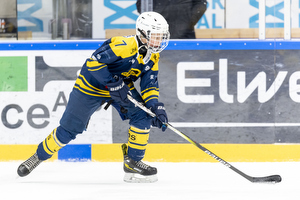 Klik for at se eller bestil foto