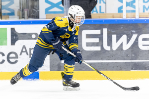 Klik for at se eller bestil foto