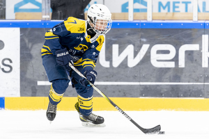 Klik for at se eller bestil foto