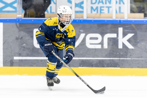 Klik for at se eller bestil foto