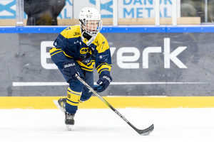 Klik for at se eller bestil foto