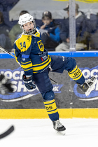 Klik for at se eller bestil foto