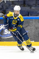 Klik for at se eller bestil foto